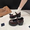 Platform Mary Jane shoes women's spring and autumn with skirts, high heels, thick heels, retro small leather shoes women