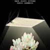 65-120W Quantum Board Plant Fill Light Timed Dimming Plant Growing Lamp Full Spectrum Calcium Supplement Professional Lights Hot