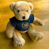 [USED] Teddy Bear Plush Toy