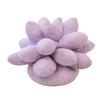 25cm Lifelike Succulent Plants Plush Stuffed Toys Soft Doll Creative Potted Flowers Pillow Chair Cushion for Girls Kids Gift