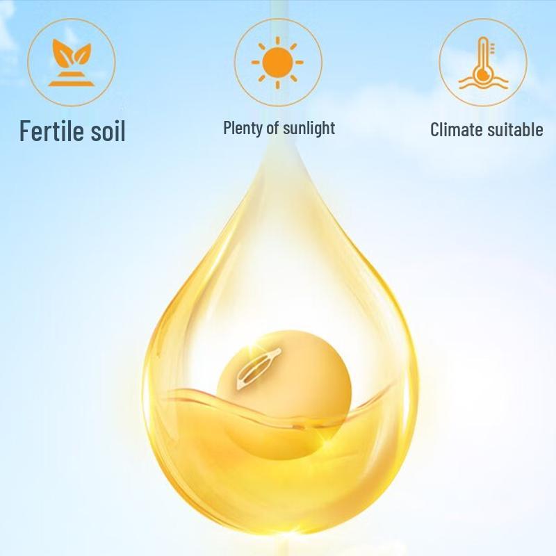 Dove Nourishing Beauty Shower Milk & Arowana Soybean Oil Bundle