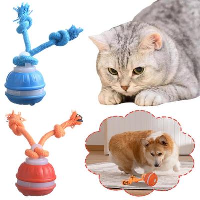 Köpek – Köpek oyuncakları