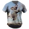 Men’s fun cat-themed short-sleeve T-shirt, 3D printed design, street style, loose fit
