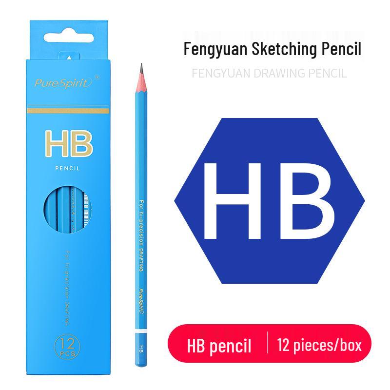 Charcoal Sketching Pencils Set: Soft/Medium/Hard (2B, 4B, 6B, 8B, 10B, 12B, 14B) for Students & Artists