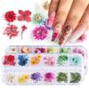 Mix Dried Flowers Nail Decorations Jewelry Natural Floral Leaf Stickers 3D Nail Art Designs Polish