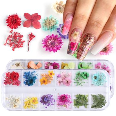 Mix sušených květin Dekorace na nehty Šperky Přírodní květinové Leaf Stickers 3D Nail Art Designs Polish