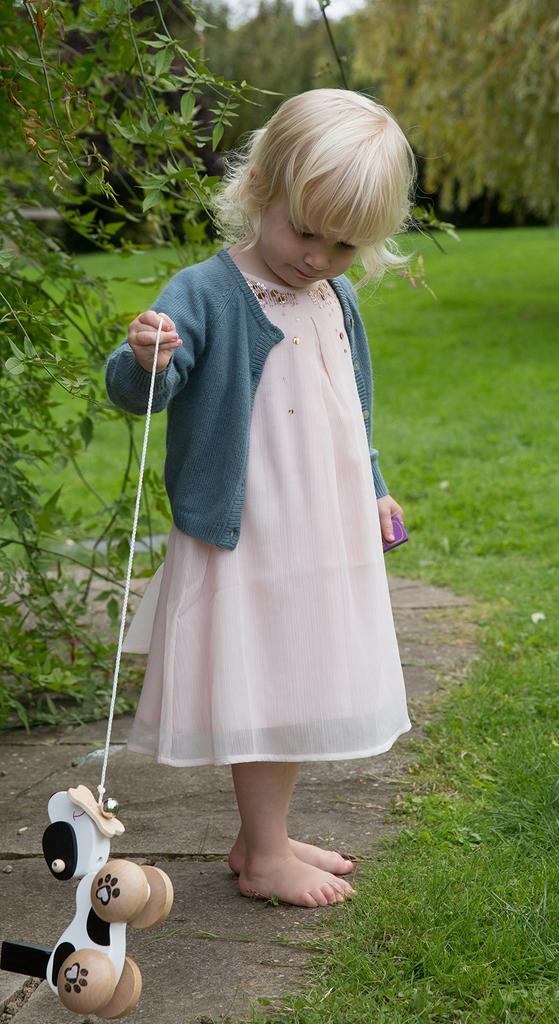 Classic World Pull Toy, Wooden Dog Walking Toy for Kids, Suitable for Girls and Boys (18 Months, ...