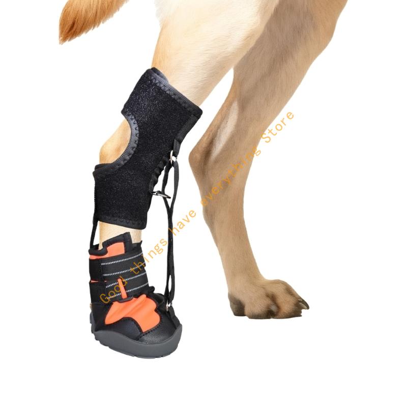 

Corrective Dog Shoes to Safely Lift Toe Drop Foot Brace with Reel for Dog 55KF S
