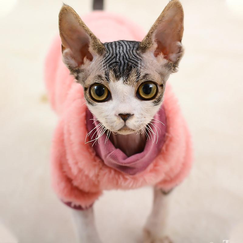 New Turtleneck Cat Sweater Coat Winter Warm Hairless Cat Clothes Soft Fluff Pullover Shirt Maine-Coon Cat Chihuahua Pet Clothing