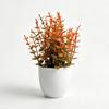 Simulated Small Potted Plant Maintenance-Free Realistic Autumn Leaves Mini Fake