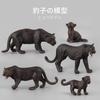 Pvc Solid Wildlife Park Black Panther Child Simulation Animal Model Ornament Static Doll