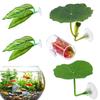 Hamac Feuille de Betta Décoratif Aquarium Habitat pour Poissons Lot de 5 Décoration d'Aquarium Habitat pour la Reproduction le Repos Lit de Sommeil pour Guppy