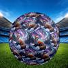 1pc Winter Fox Aurora Theme Soccer Ball Football, Size 5, Lightweight PVC, Outdoor Training Soccer Ball,Sports Gift T61463