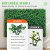 12pcs Artificial Boxwood Panel UV Boxwood Hedge Wall Panels Artificial Grass Backdrop Wall 24X16" 4cm Green Grass Wall Fake Hedge for Decor Privacy