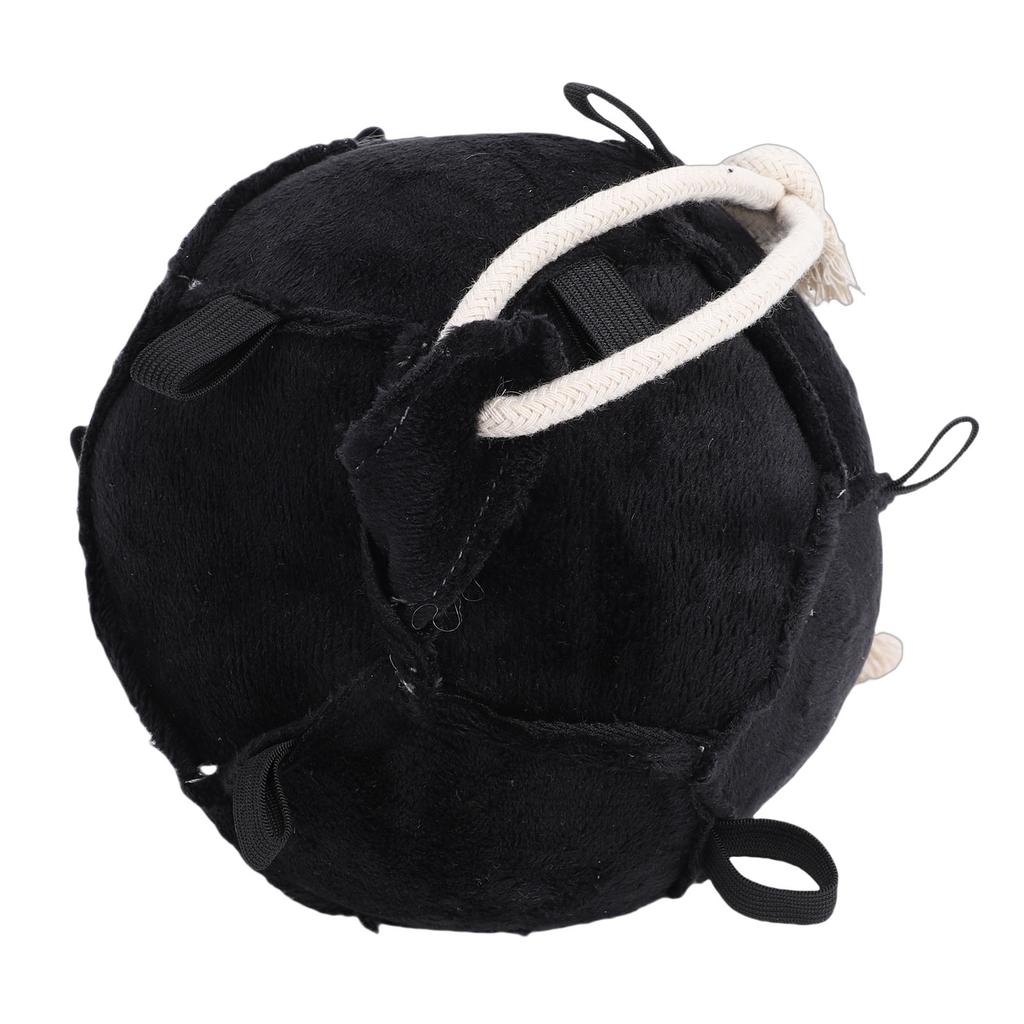 Horse Treat Ball Hanging Slow Feed Carrot Feeder Toy for Equestrian and Stable Training