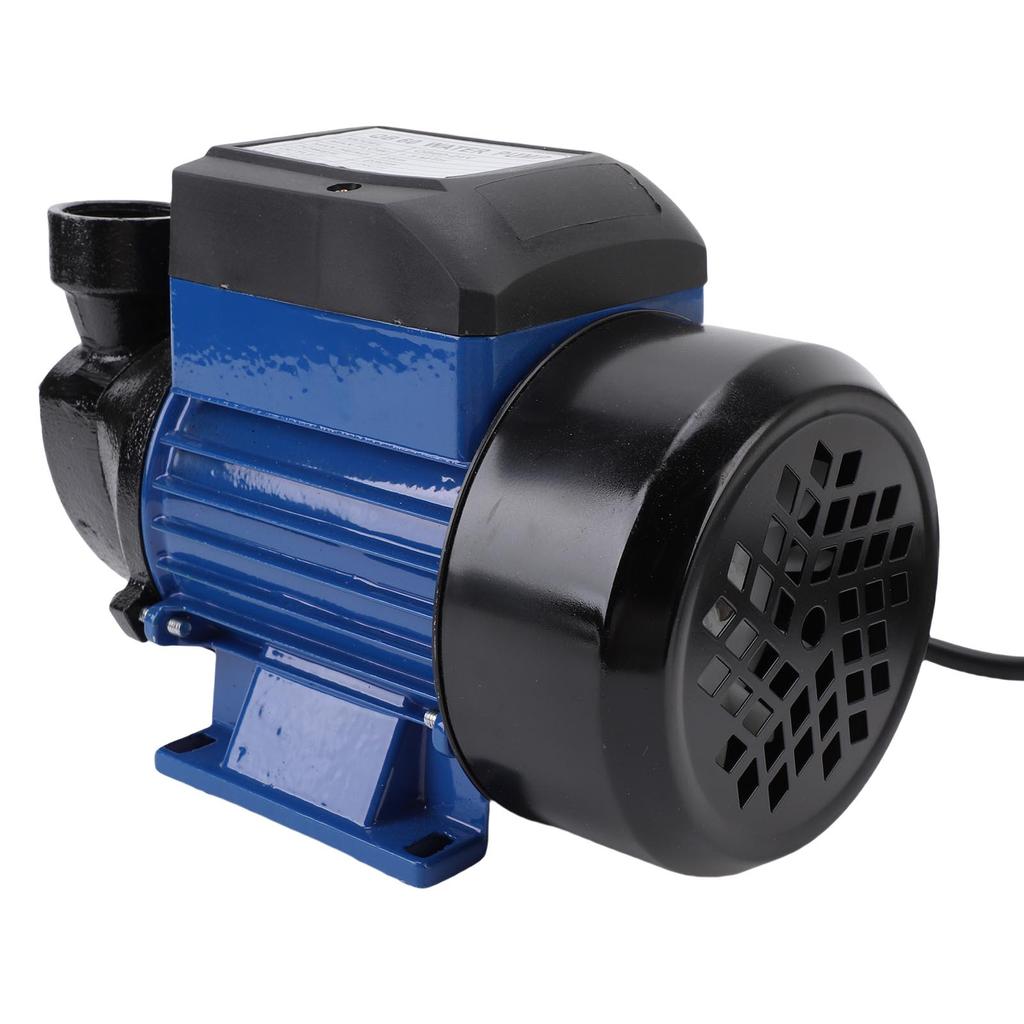 Bewässerungspumpe 230W 1,5m³/H Durchfluss 1 Zoll Auslass Leise 3200 U/min 25m Förderhöhe für Landwirtschaft
