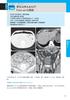 X-Ray! 10-Second Imaging Diagnostics: Practical Knowledge Learned from Influencers