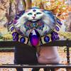 1PC cute cat pet Umbrella Portable Folding Umbrella Iron Frame Hole Bone Structure Outdoor Home Umbrella A2