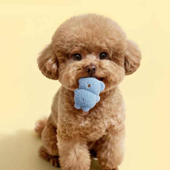 Giocattoli per Animali con Design Sonoro Integrato Morbido Peluche Giocattolo da Dentizione Massaggio Gengive e Pulizia Tartaro Giocattolo da Masticare per Cani Piccoli