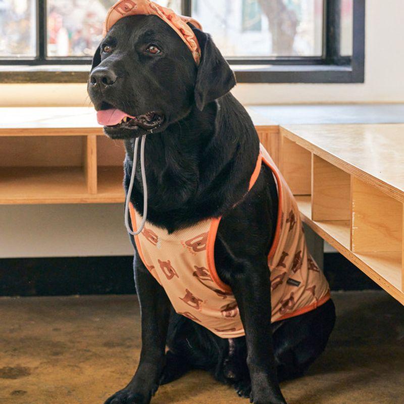 MUNIKUND Bug Guard-T : Yellow Pretzel