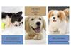 Pet Cooling Mat for Cats & Dogs - Autumn/Winter Bed with Ice Silk for Small to Medium Pets