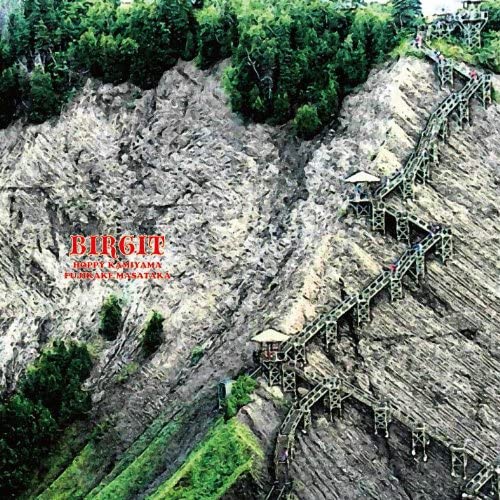 

CD HOPPY KAMIYAMA X MASATAKA FUJIKAKE - BIRGIT Japan ObiMusic Другие б/у