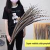 Pheasant Feather Jewelry for Peking Opera Performance - Natural Long-Tailed Pheasant