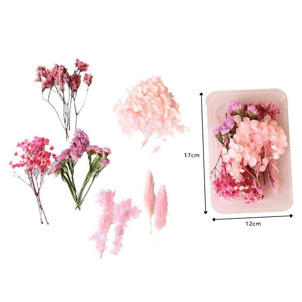 Naturalne kolorowe suszone kwiaty Diy rzemiosło pakiet materiałów na świeca zapachowa ręcznie girlanda ramka na zdjęcia Scrapbooking tworzenie kartek