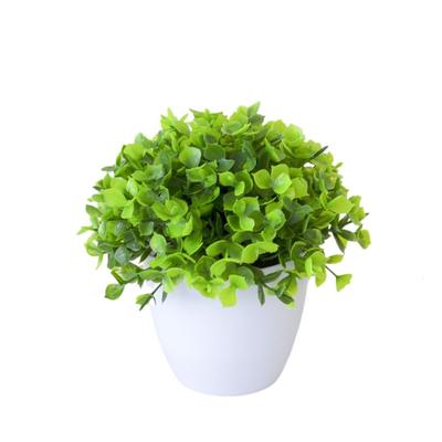 Eukalyptus Wohnkultur Nicht verblassende Dekorative Pflanze Energetischer Künstlicher Bonsai