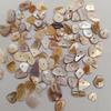 Irregular Punched Shell Slices for DIY Clothing Decoration