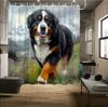 Berner Sennenhund Duschvorhang - Lebendiges Wiesen- und Schneebedecktes Bergdesign, Polyester, Waschbar