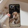 Cute Baby Monkey Animal For Realme 14 Pro Plus 10 11 12 13 GT 6 6T 5 GT7 Pro C67 C61 C55 C53 C51 C21Y C25S C75 Case