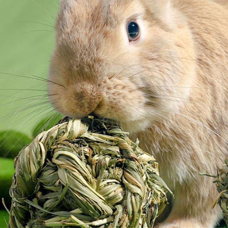 Knaagspeeltje voor Kleine Huisdieren Krabspeeltje voor Konijnen SisalHennepbal Slijpspeeltje voor Kleine Dieren Hamsterkooi Meubilair