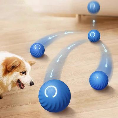 Hunde – Hundespielzeug