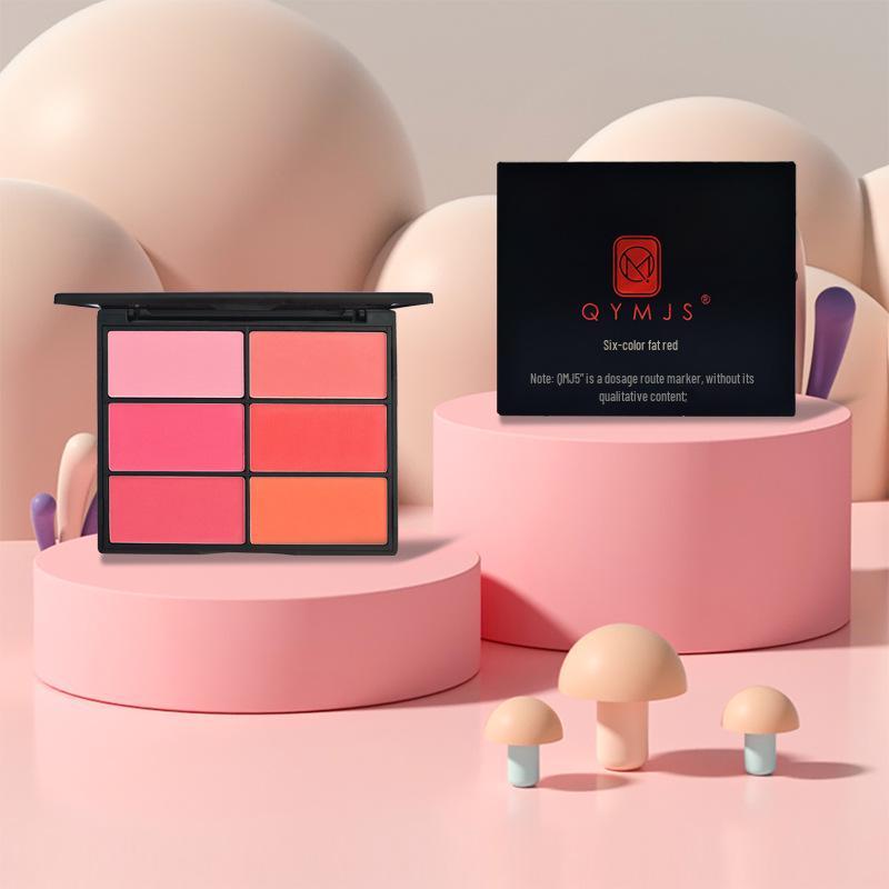 Six-Color Blush Palette: Large Multi-Tone Rouge for Makeup Artists and Students - Ideal for Studio and Stage.