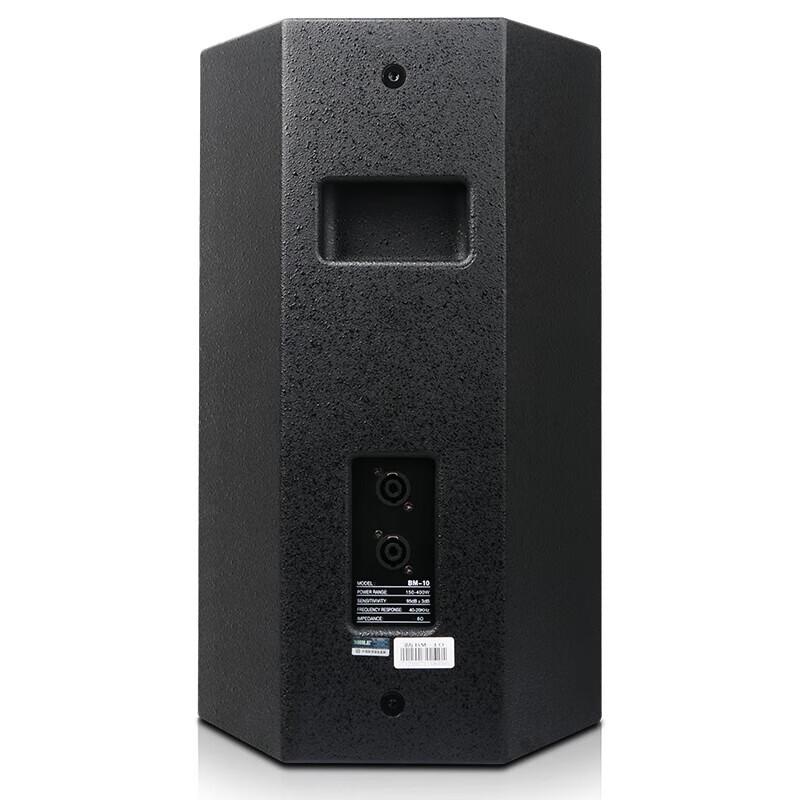 SHILE 10-inch Professional Stage Speaker