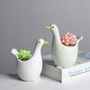 Decorațiuni pentru casă – Ghivece de flori decorative