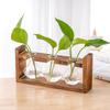 Wood & Glass Hydroponic Bottle - Simple Modern Home Decor