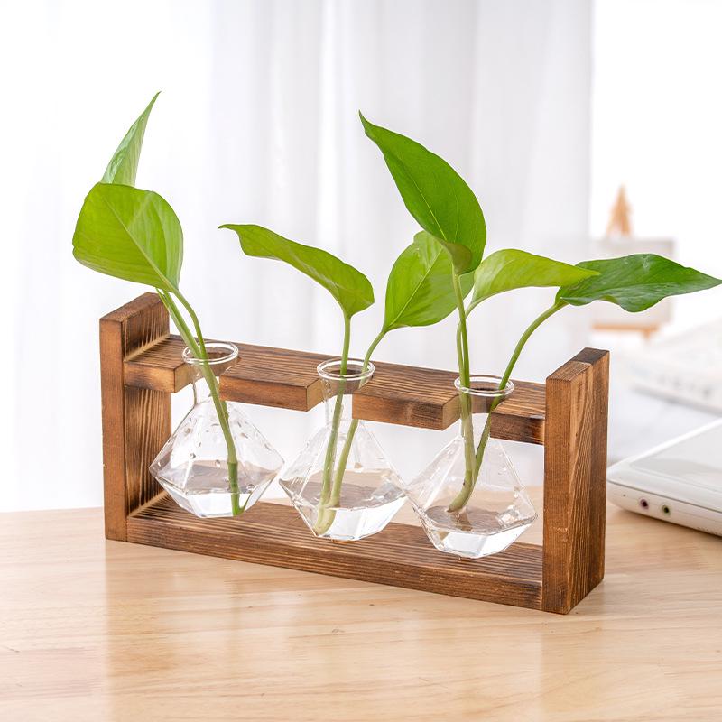 Wood & Glass Hydroponic Bottle - Simple Modern Home Decor