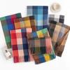 Personalized Fashion Imitation Cashmere Scarf Style Women's Fashionable Style Scarf Warm and Cold Proof Shawl Fashionable