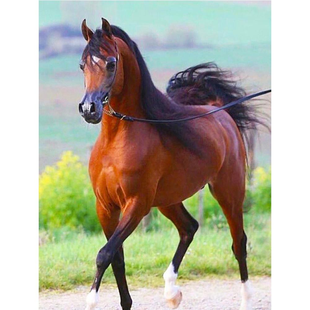 

Huacan 5D DIY Full Drill Diamond Painting Dotz Kit Horse Mosaic Artcraft для взрослых Домашний декор стен