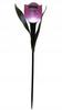 Tulip Solar Lamp 30cm Colorful Garden Decoration with Warm Light