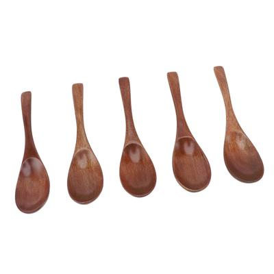 5Pcs Handmade Japanese Style Wooden Soup Spoons 6 Inch Long Wooden Spoons for Coffee Tea Drinks