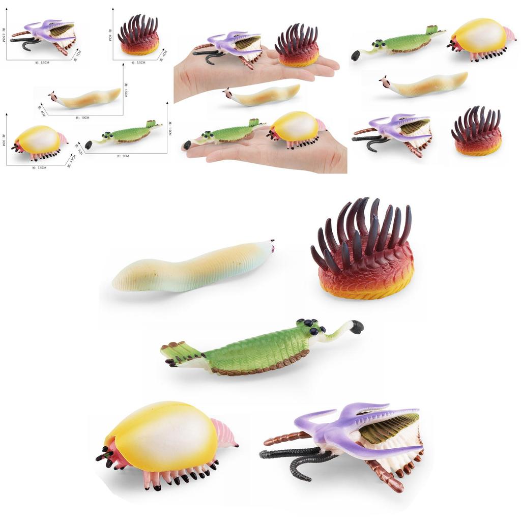Realistic Ancient Marine Creature Model Collection Featuring Cambrian Anomalocaridids And More