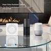 Tuya WiFi Smart Switch Disconnector with App & Voice Control Timer