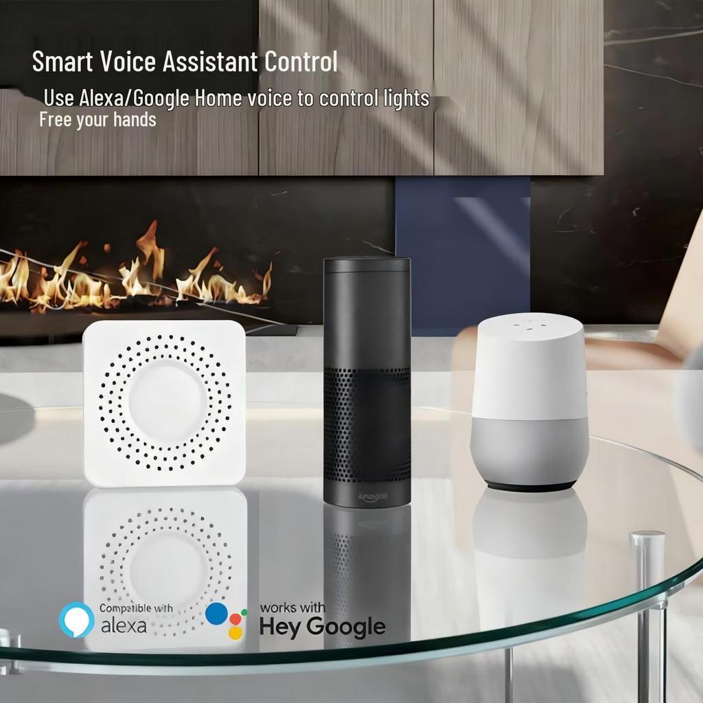 Tuya WiFi Smart Switch Disconnector with App & Voice Control Timer