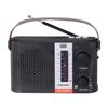 Radio portable solaire multibande RA 7F25 BT noire Trevi - FM/AM/SW, lecteur MP3, Bluetooth