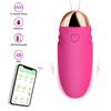APP Control Panty Dildo Vibrator Long Distance Bluetooth Wearable Rechargerable Adult Sex Toys 10 режимів вібрації для жінок і пар