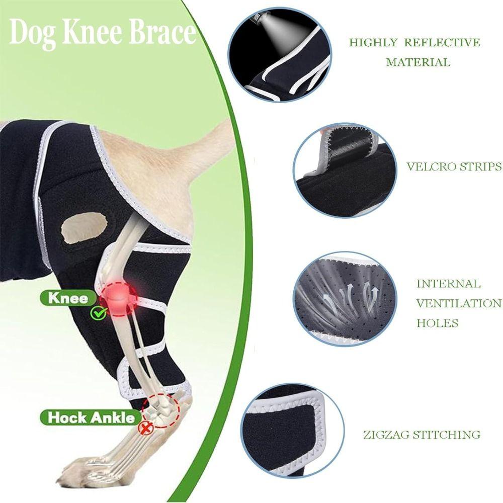 Durable Leg Support Bracket Adjustable Pet Knee Wound Protection  for Hind and Front Legs