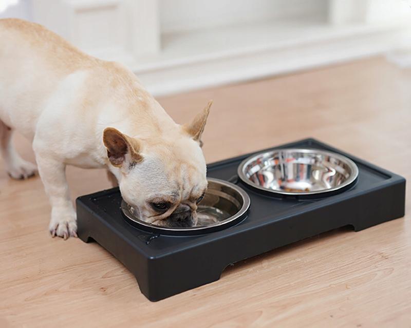 Állványos, Lassú Evésű Kutyatál, Dupla, Állítható